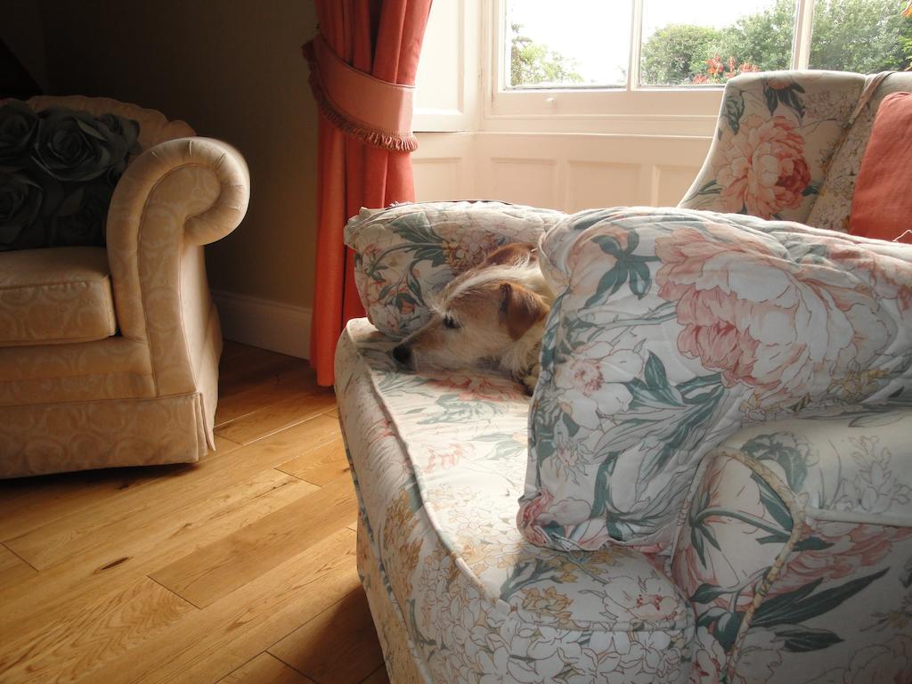Cary Fitzpaine House Bed & Breakfast Babcary Bagian luar foto