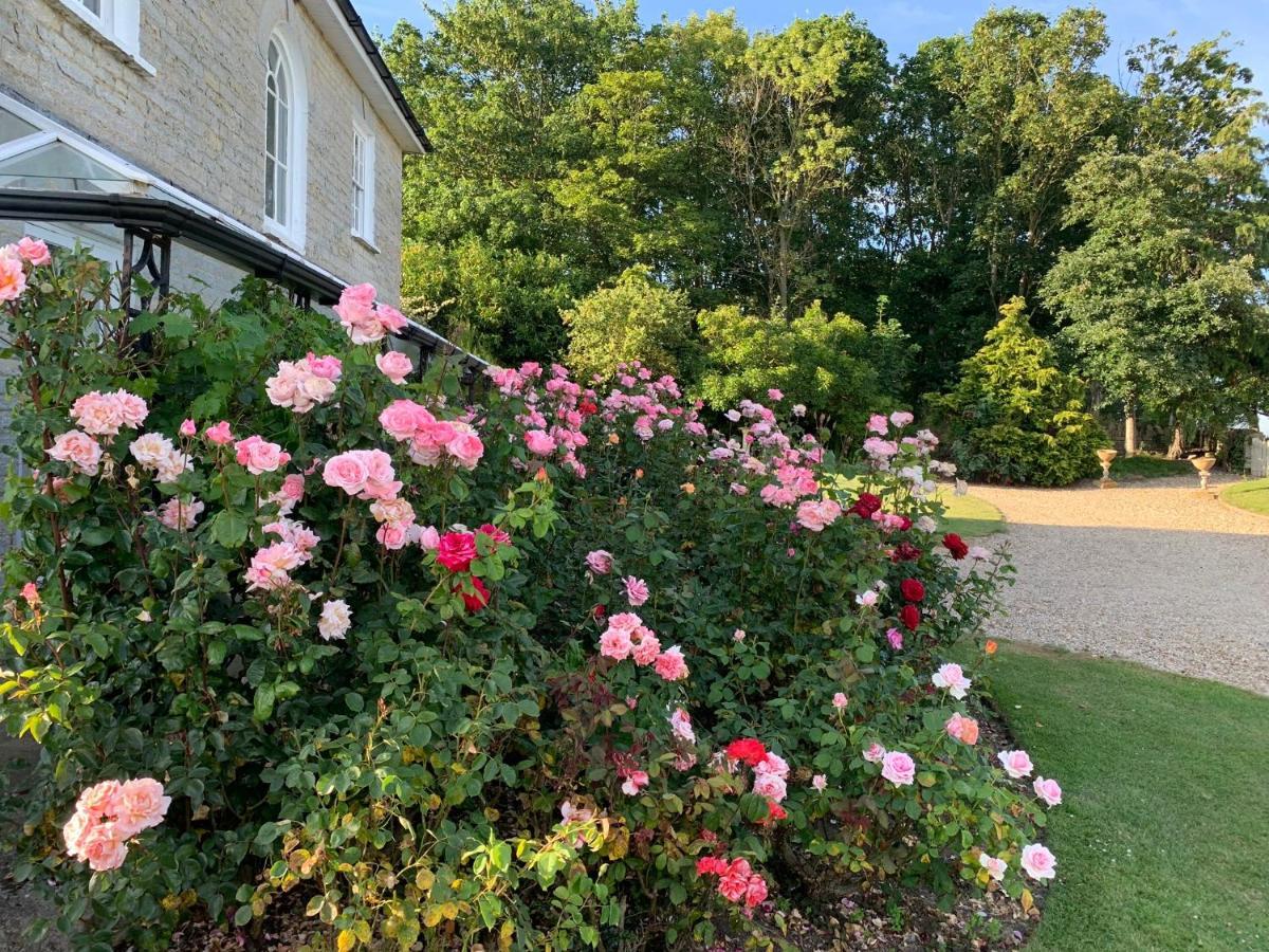 Cary Fitzpaine House Bed & Breakfast Babcary Bagian luar foto